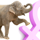 Illustration for article titled GOP: What War On Women?